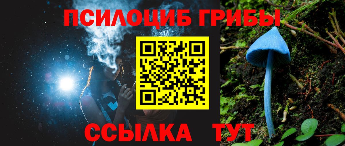 Галлюциногенные грибы Cubensis Котельники
