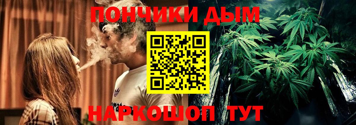 Марихуана план  Вход с VPN  Конопля Bruce Banner  Канабис White Widow  Канабис SATIVA & INDICA  Котельники 